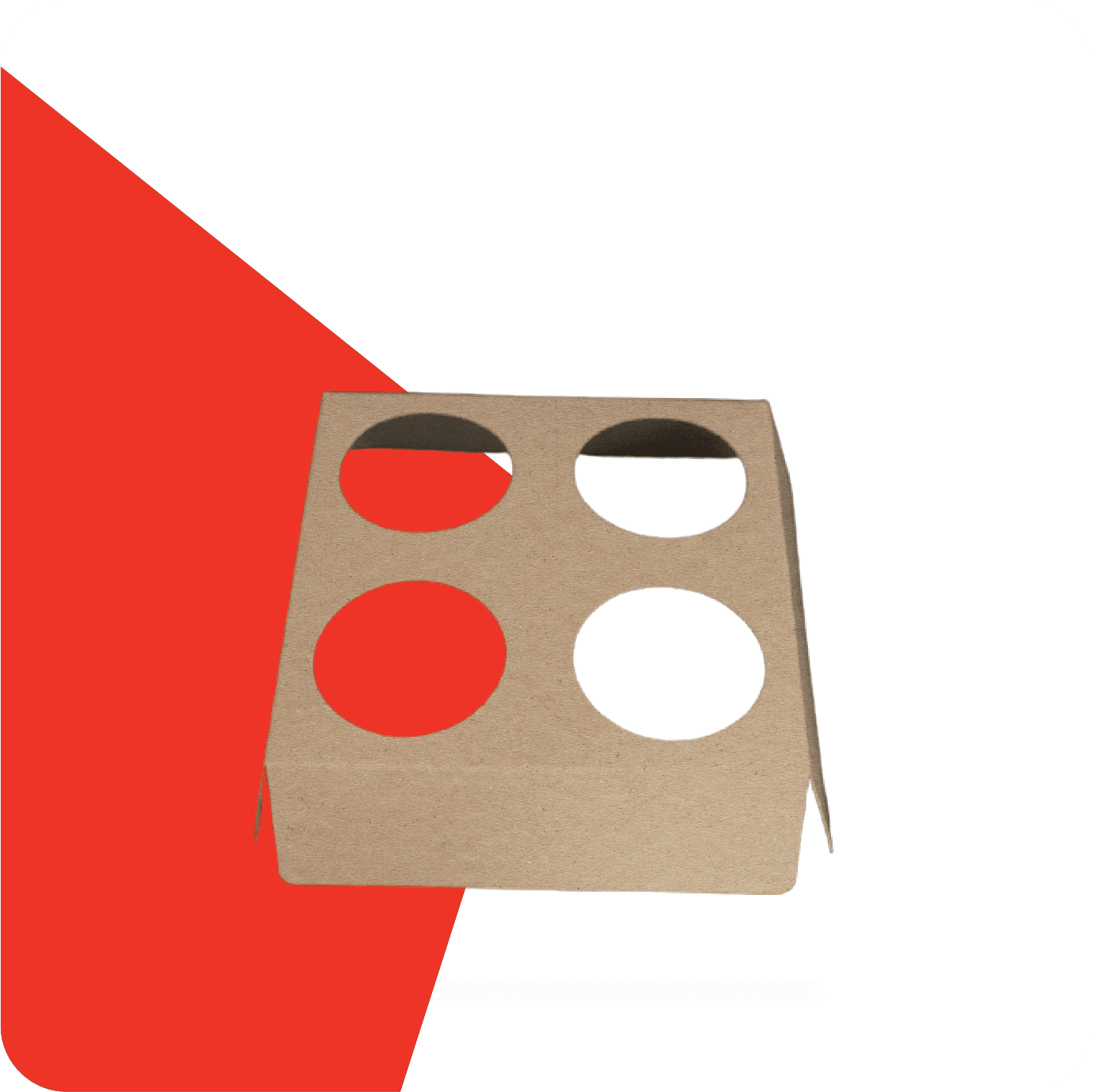 cardboard box with inserts