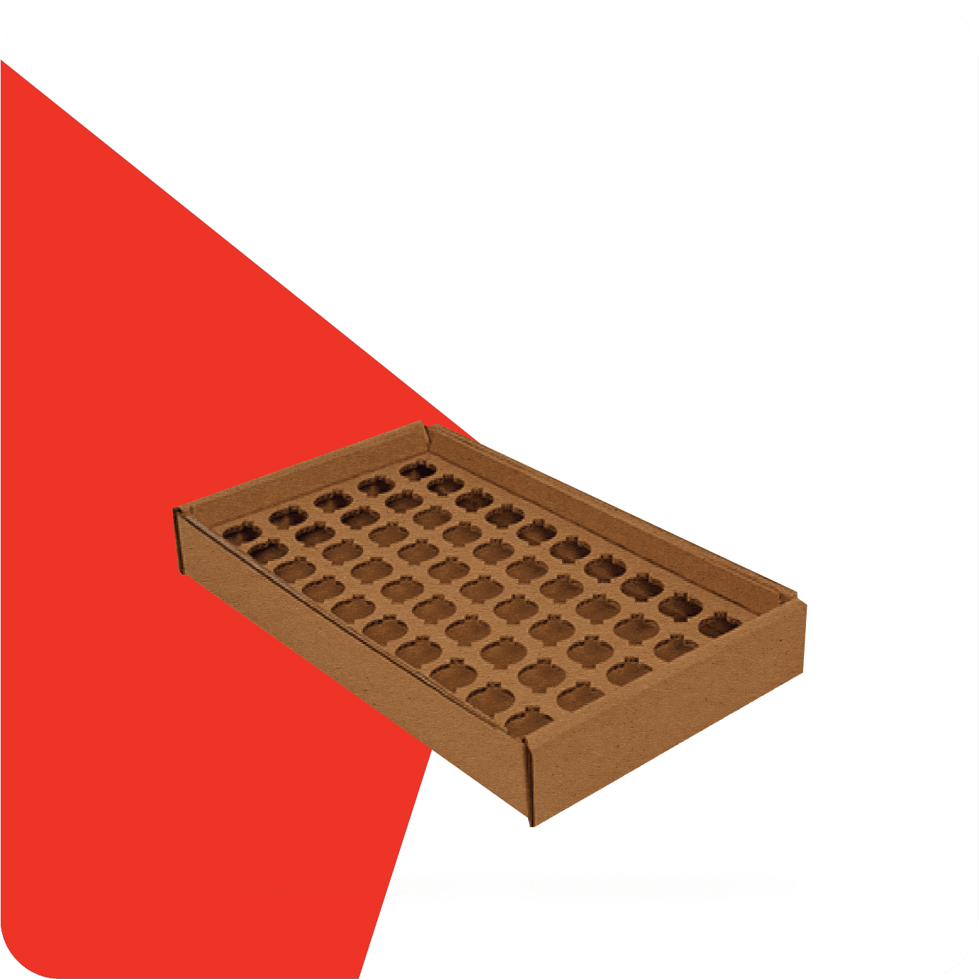 frame cardboard insert