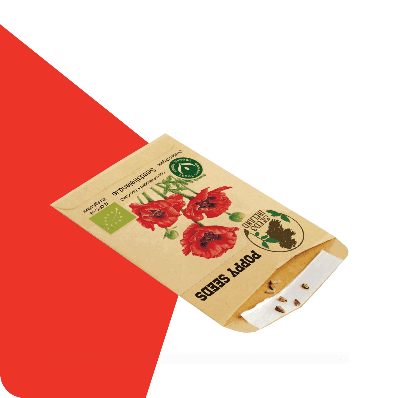 seed envelopes custom