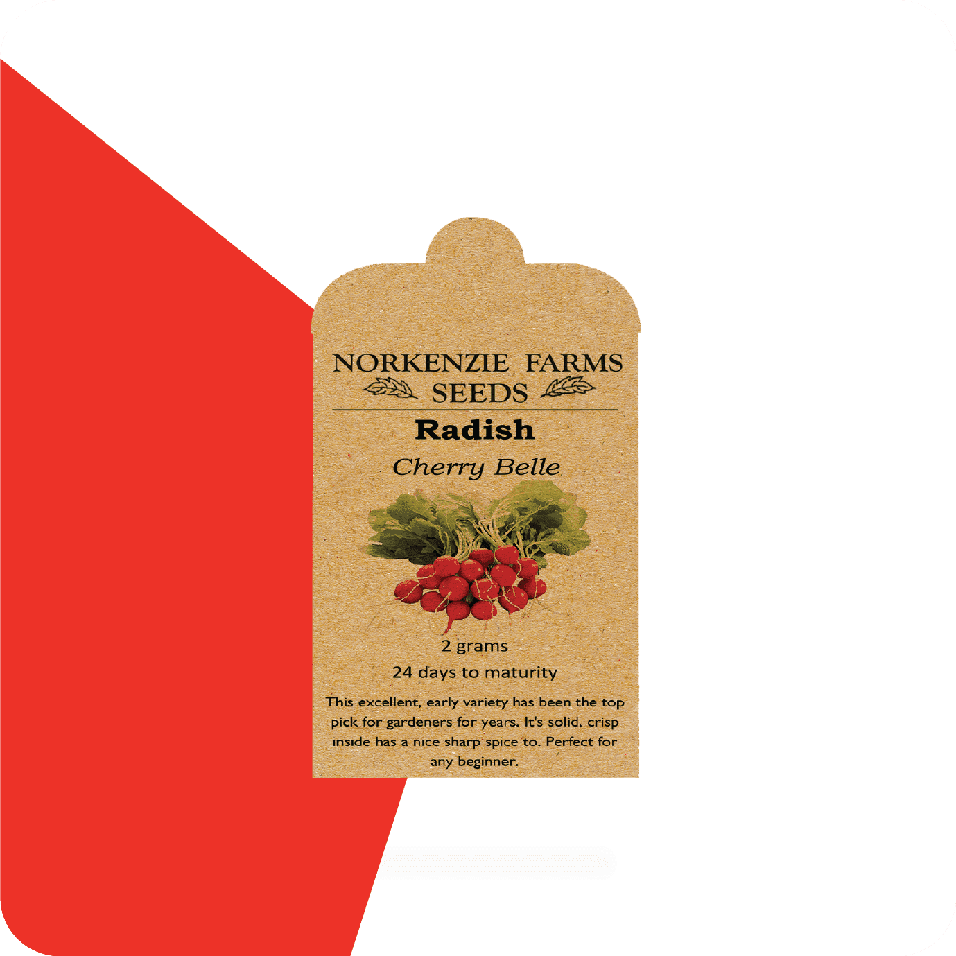 tiny envelopes for seeds