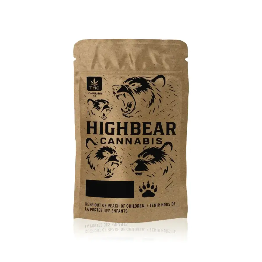 eco friendly pouch packaging made with sustainable materials for protection of product